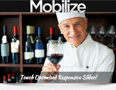 Mobilize - Touch Optimized Mobile Template