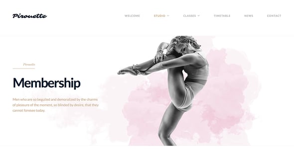 Dance WordPress Theme - Dancing Academy